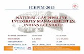 ICEPIMICEPIM--20152015 NATURALGAS PIPELINENATURAL GAS ...