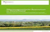 Pflanzengenetische Ressourcen in Deutschland - BMEL