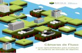 Câmaras de Fluxo - nicolelatinamerica.com