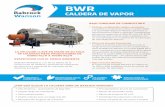 BWR - Babcock Wanson
