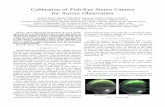Calibration of Fish-Eye Stereo Camera for Aurora Observation