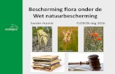 Bescherming flora onder de Wet natuurbescherming
