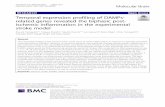 Temporal expression profiling of DAMPs-related genes ...