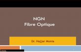 NGN Fibre Optique