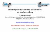 Thermoplastic silicone elastomers: an endless story