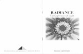 RADIANCE - concentric.org