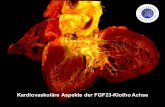 Kardiovaskuläre Aspekte der FGF23 -Klotho Achse