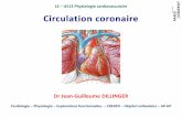 L2 UE13 Physiologie cardiovasculaire Circulation coronaire