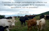 Contrôler la charge parasitaire qui affecte nos bovins en ...