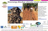 Bioenergy-Biochar climate smart systems