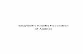 Enzymatic Kinetic Resolution of Amines - TU Delft