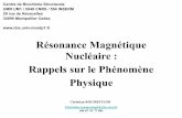 Résonance Magnétique Nucléaire : Rappels sur le Phénomène ...