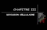 CHAPITRE III - CH Carcassonne