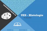UE8 - Histologie
