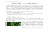Legionella sp. Legionellaceae Legionella pneumophila ...