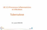 Tuberculose - IFSI Annecy
