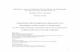 Mémoire pour le Diplôme Universitaire de Pédagogie De l ...