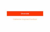Diversité - Voynnetf