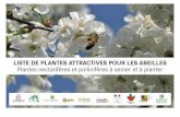 Liste de plantes attractives pour les abeilles - Ministère ...