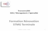 Formation Rénovation STMG Terminale