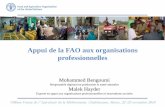 Appui de la FAO aux organisations professionnelles