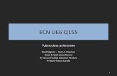 ECN UE6 Q155 - CERF
