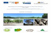 Développement Stratégique Forestier du Massif ... - Cofor 83
