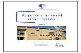 Rapport annuel d ’activités - univ-amu.fr