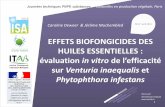 EFFETS BIOFONGICIDES DES HUILES ESSENTIELLES : évaluation ...