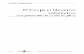 #2 Coups et blessures volontaires - interieur.gouv.fr