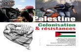 Palestine - data.over-blog-kiwi.com