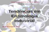 Tendências em Enzimologia Industrial