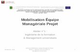 Mobilisation Équipe Managériale Projet