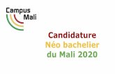 Candidature Néo bachelier du Mali 2020