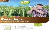 Céréales Ramdam - Agriconomie