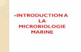 INTRODUCTION A LA MICROBIOLOGIE MARINE