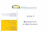 Rapport d’Activité - Puzl.com