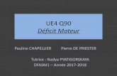 UE4 Q90 Déficit Moteur - CERF