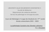 UNIVERSITE SALAH BOUBENIDER CONSTANTINE 3 Faculté de ...