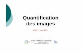 Quantification des images - carabinsnicois.fr