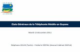 Etats Généraux de la Téléphonie Mobile en Guyane