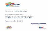 Réseau REA-Raisin - surveillance et prévention des IAS ...