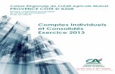 Comptes Individuels et Consolidés Exercice 2013
