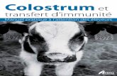 Colostrum et transfert d’immunité