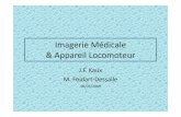 Imagerie Médicale & Appareil Locomoteur