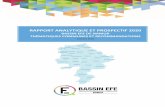 Rapport analytique et prospectif 2020 - IBEFE Namur