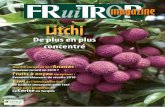 fruitrop.com Version française Litchi
