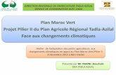 Plan Maroc Vert Projet Pilier II du Plan Agricole Régional ...