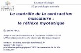 Le contrôle de la contraction musculaire : le réflexe ...