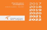 Planification stratégique 2017 2018